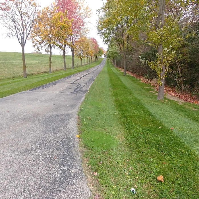 Fall cleanup