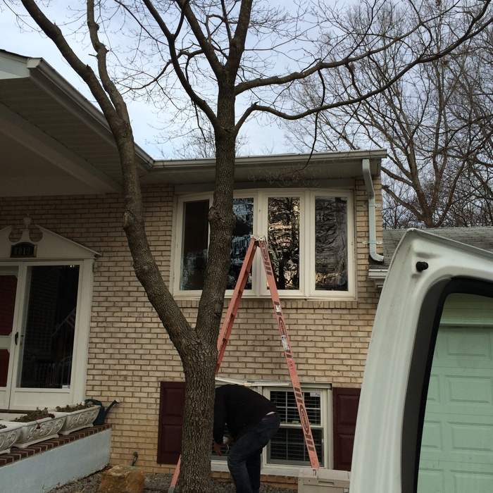 BAY WINDOW REPLACEMENT