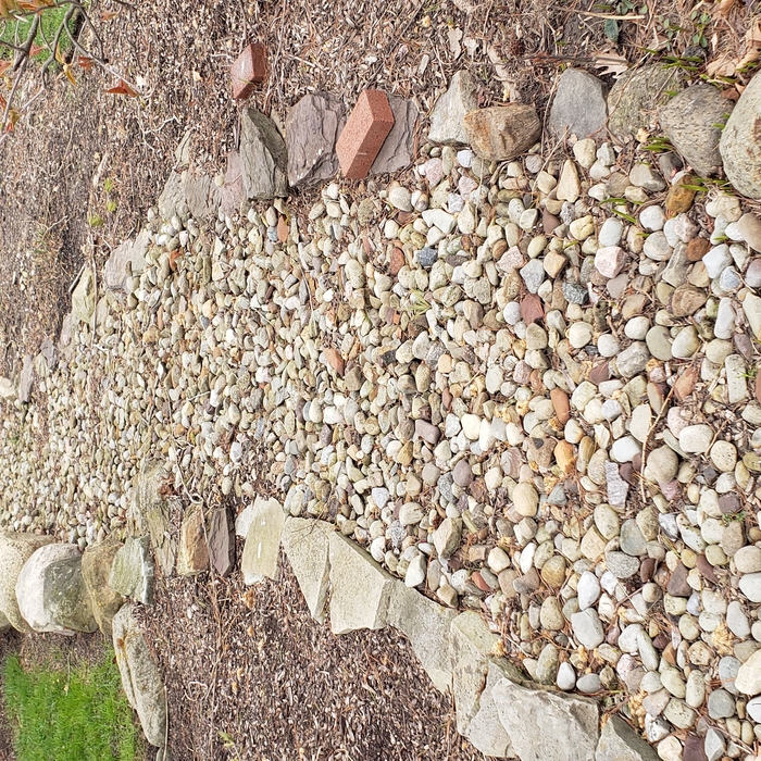 photo before redoing stone pathway