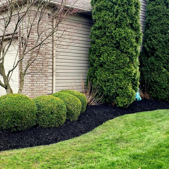 mulching