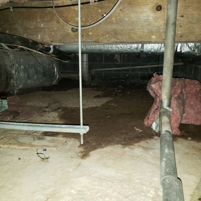 Damp Crawlspace