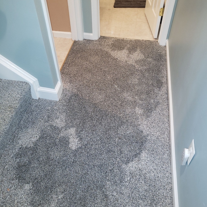 Bathroom Flood