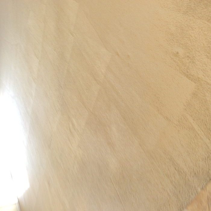 Carpet cleaning