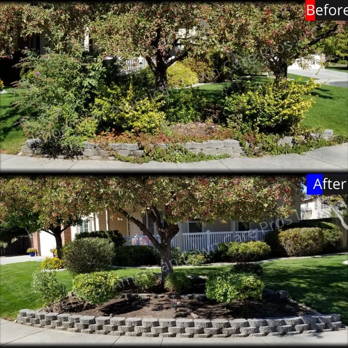 Yard/Shrub Clean-Up
