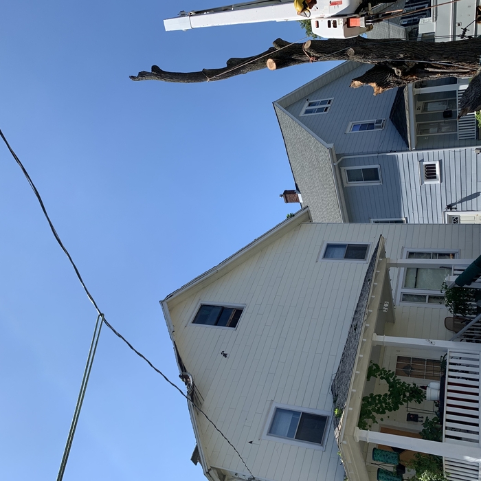 Storm damage
