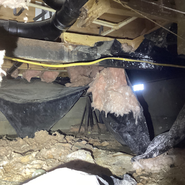 Damaged insulation in crawlspace