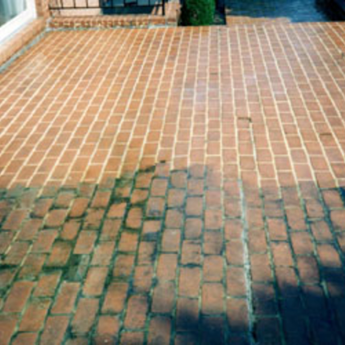 Does Your patio or Bricks look like this?