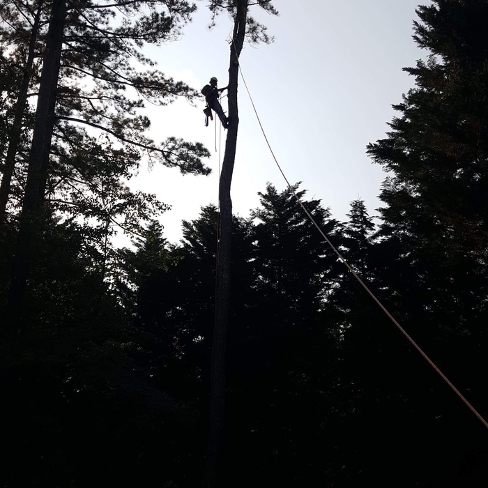 Climbing