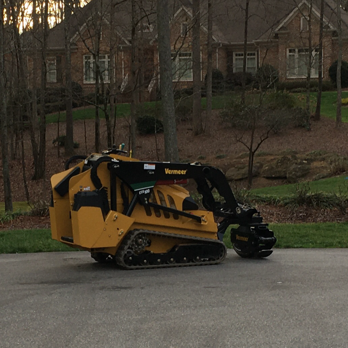 Mini skid