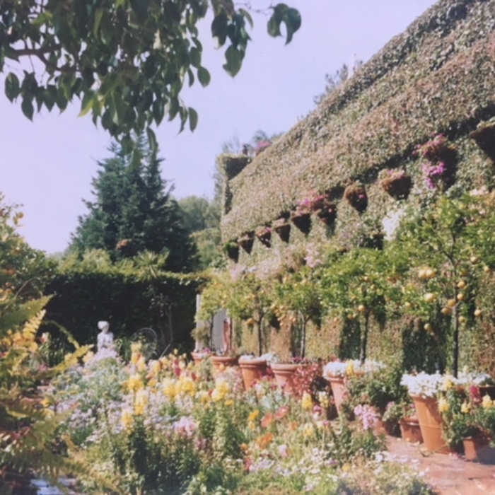 Flowe Beds different levels