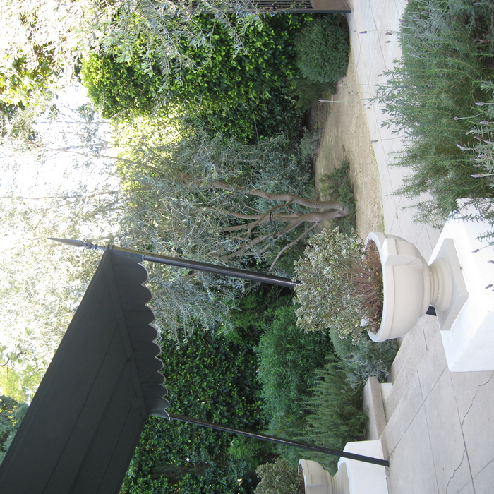 Mediterranean Garden