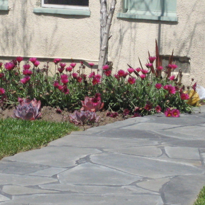 Stone Patio
