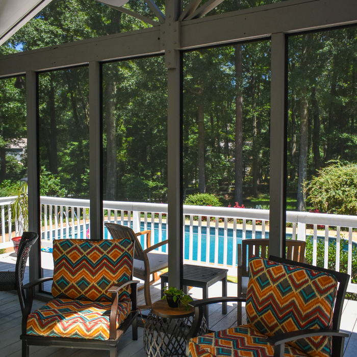 Looking Through the New Screen Porch