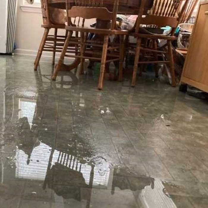 Busted water line in Kitchen