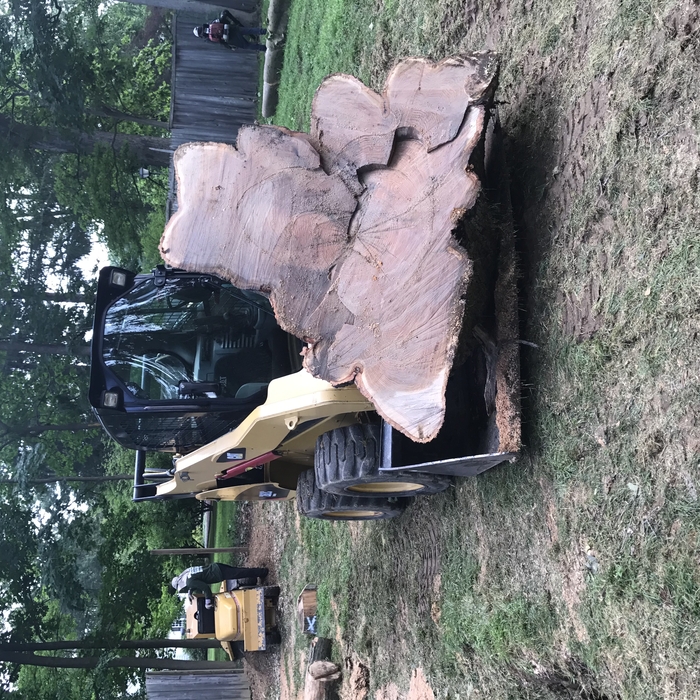 Stump removal