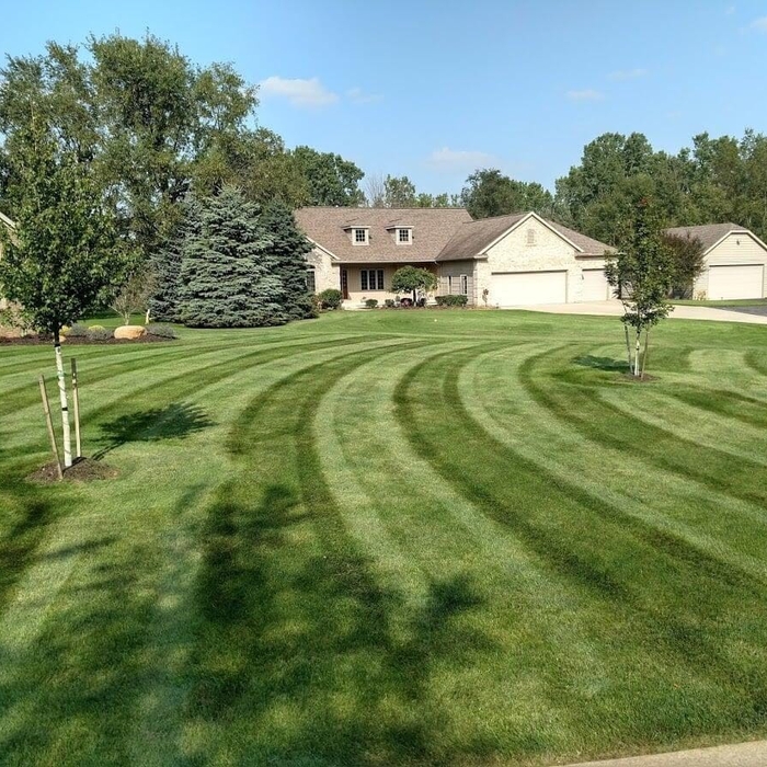 Stripes