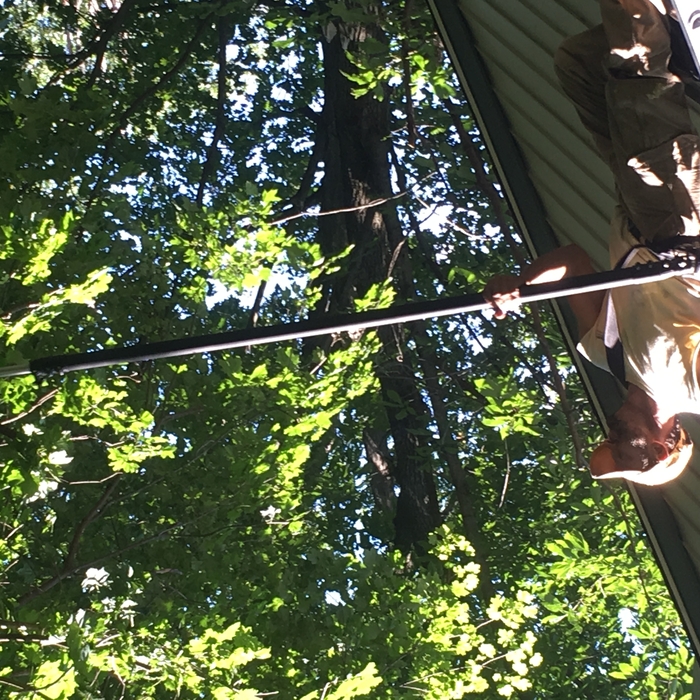 Manning the tree trimmers