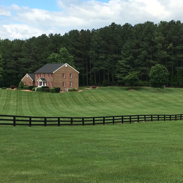 Striped Lawn
