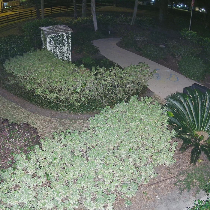 4K Night Mode - Side Yard