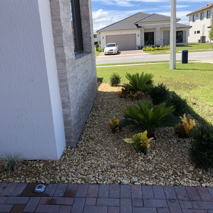 Garden Bed Makeover