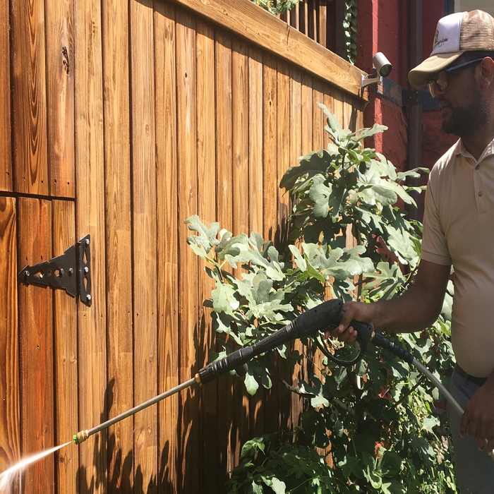 Fence cleaning