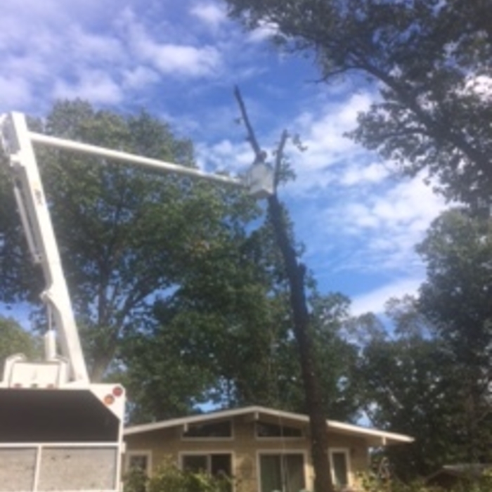 Bellavista 70&#39; oak project