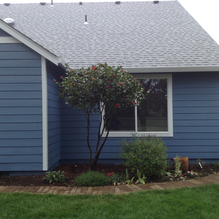Exterior Remodeling