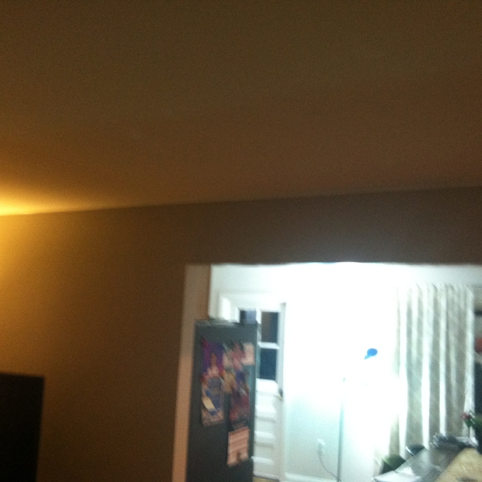 Living room/kitchen