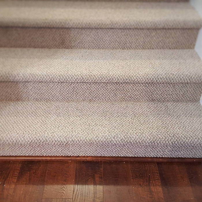 Carpeted Entryway
