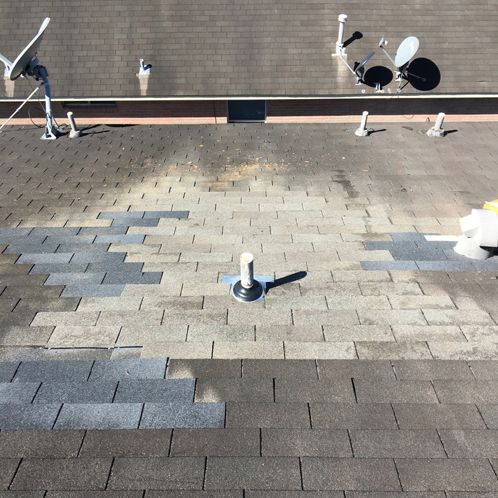 Replace missing and damaged shingles