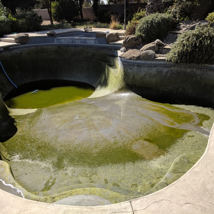 Green Pool Before