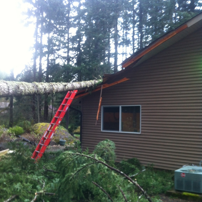 Storm Damage