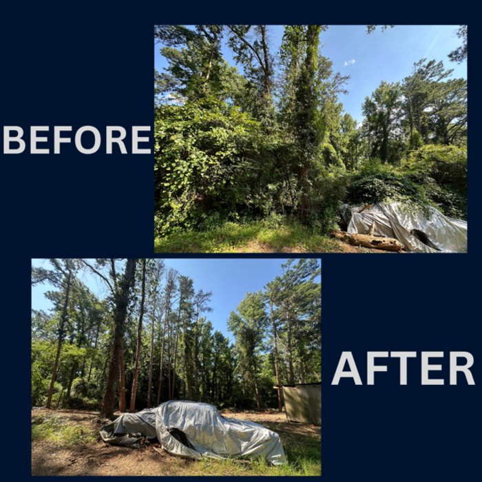 Before and after
