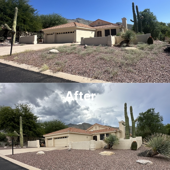 Front Yard Clean Up