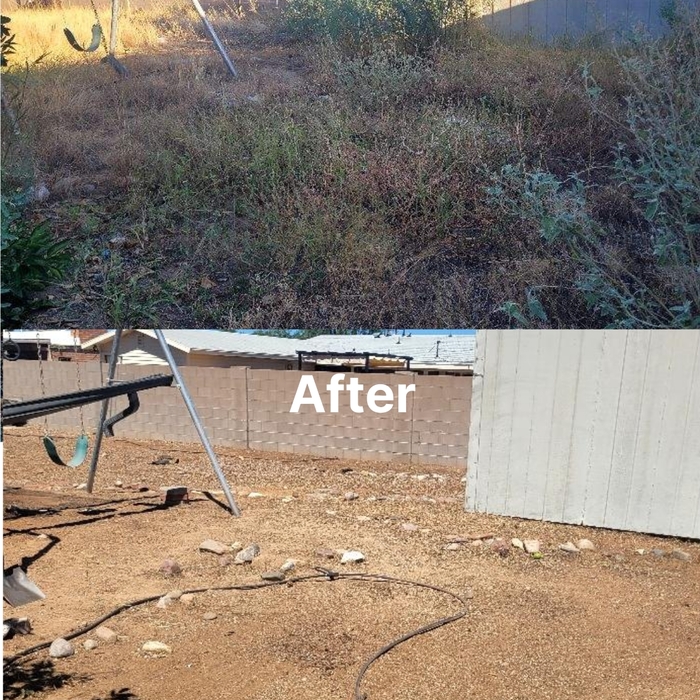 Back Yard Clean Up