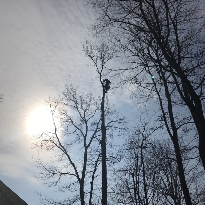 Climbing