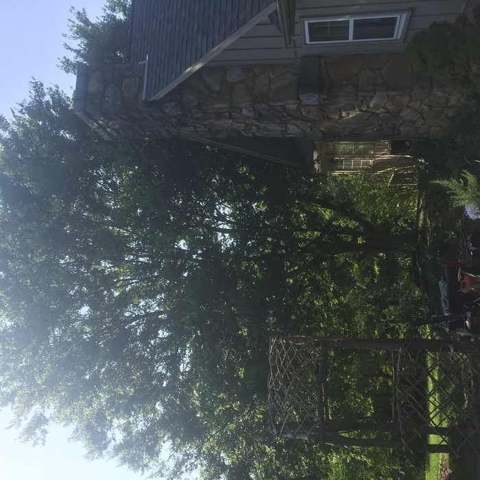 Before we began the removal