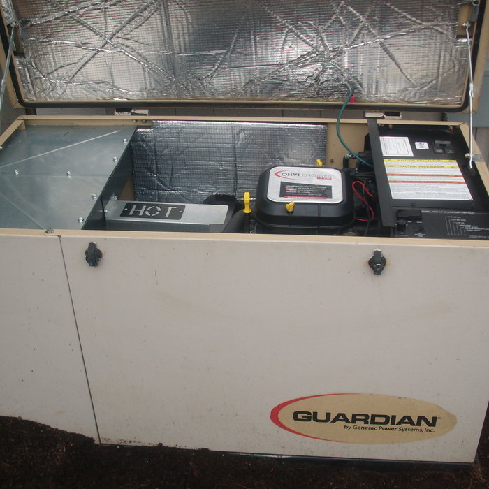 Generator service