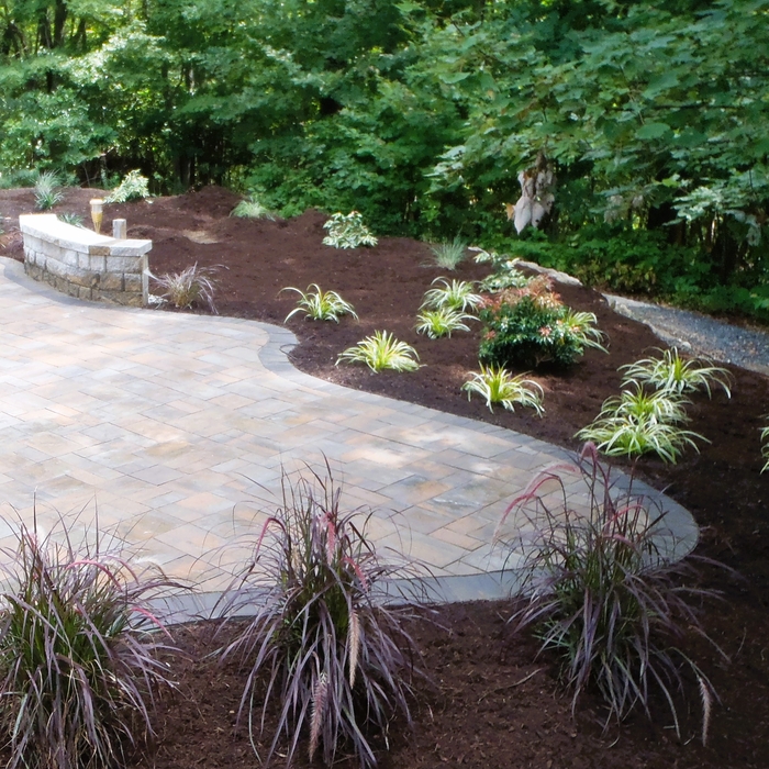 Pleasantly curved patio