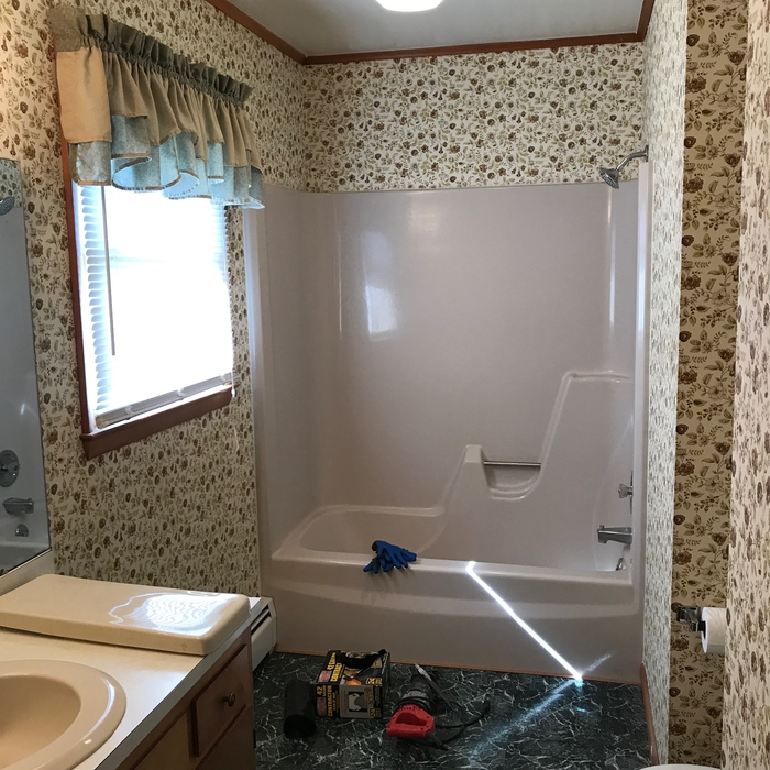 Master Bathroom Before