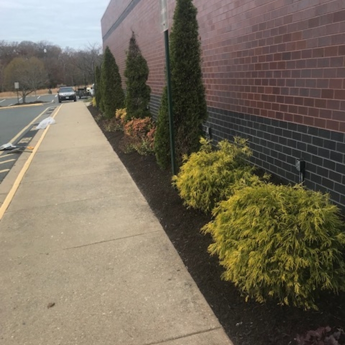 Landscaping