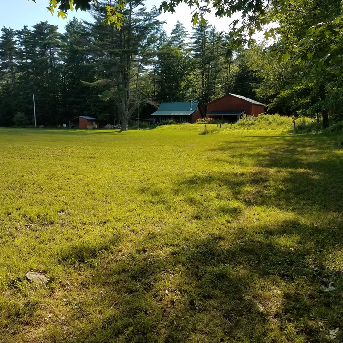 Homesteading &amp; Farming
