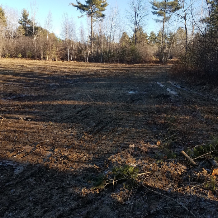 Lot Clearing in Maine