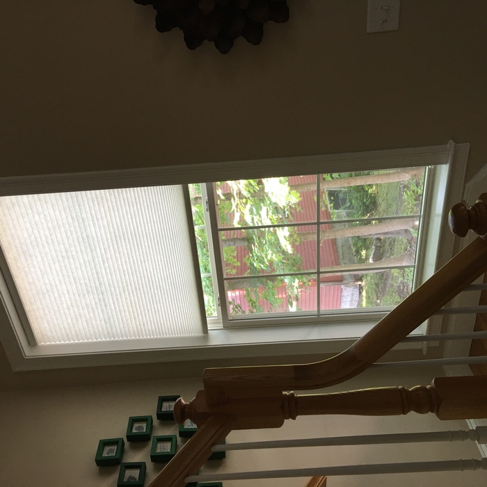 Cellular Shades