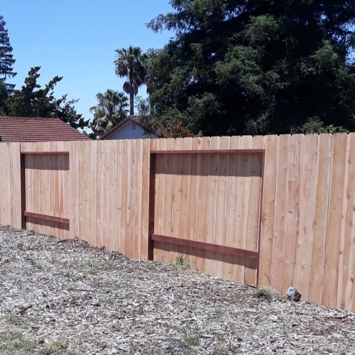 Shrubs - Trim or Remove