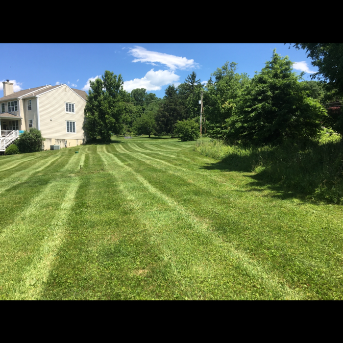 Lawn Care