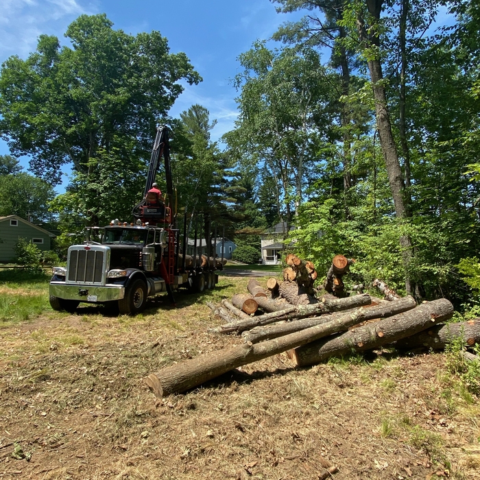 Log Pickups