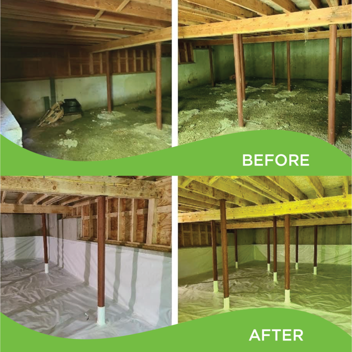 Before and After