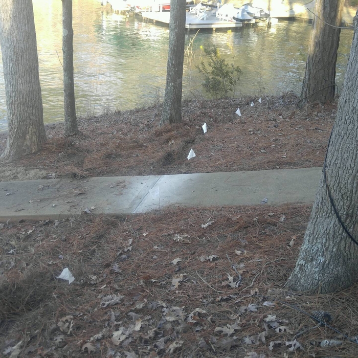 Lake Yard