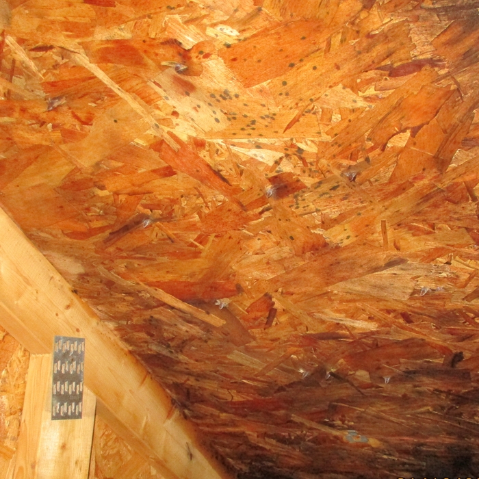An hour after remediation (after)